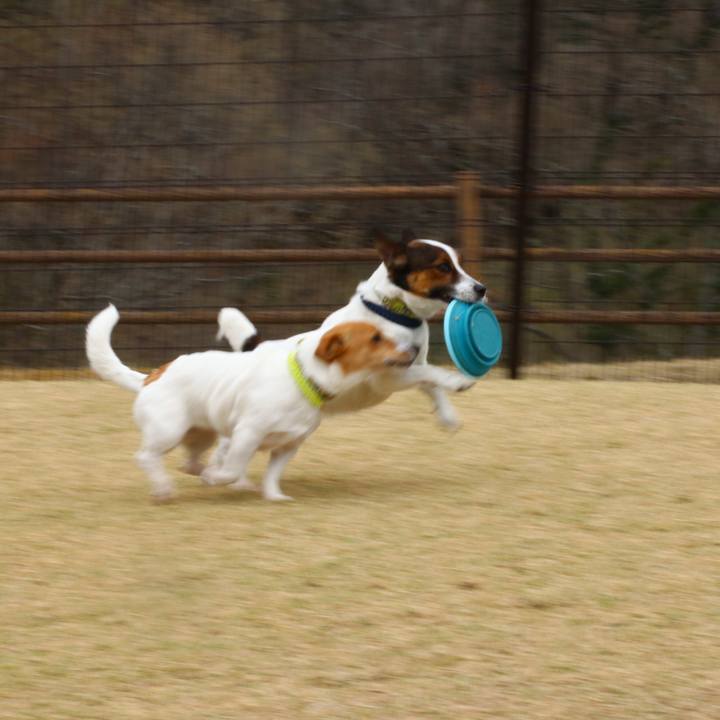 38a16d78 cd12 4d82 815b a92084b205a0 1553321290049