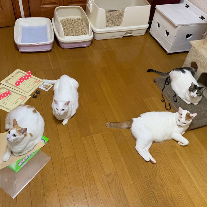 38a16e52 6401 4b71 80c6 8f38b004f2d3 1648559007433