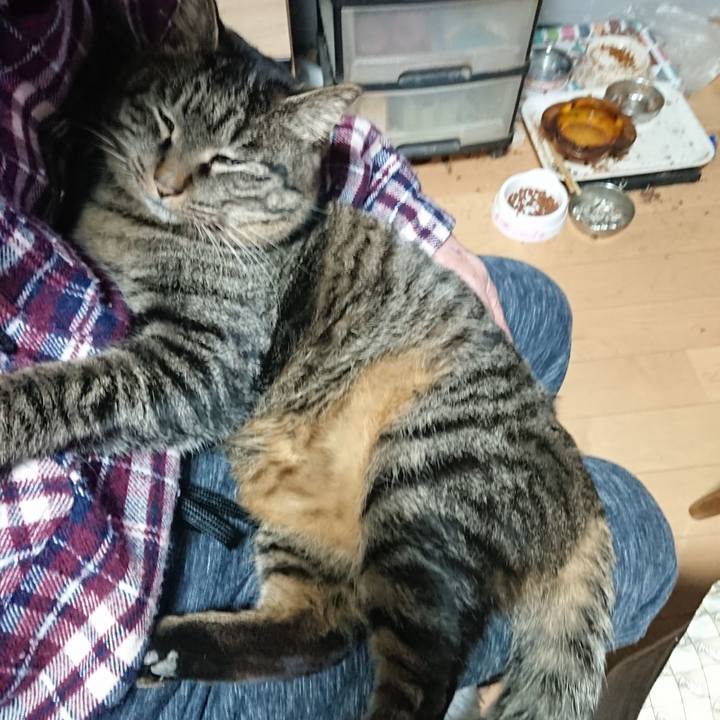 38a17210 97a3 4e91 ba0b 595576b09298 1641469692947