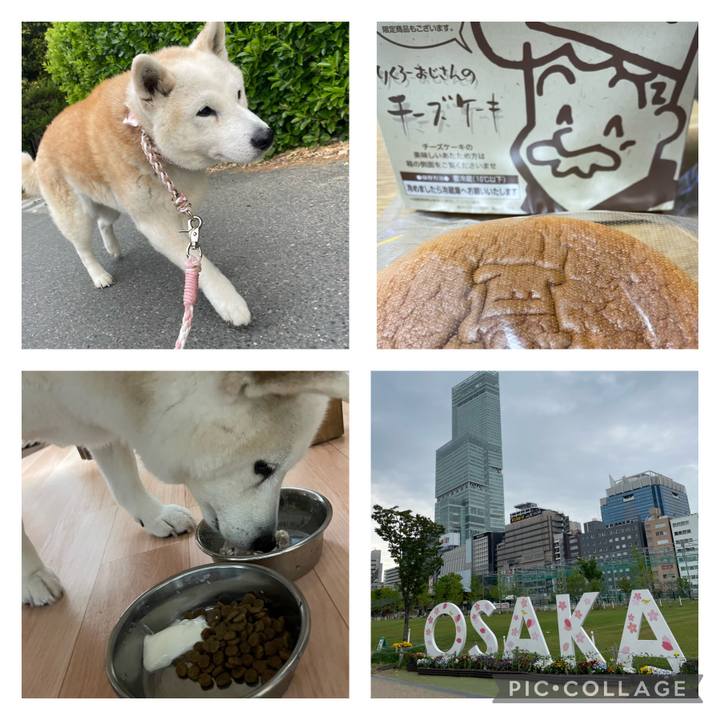 38a19278 3cf6 4f28 a4d5 a06bf695cbe6 1681293493813