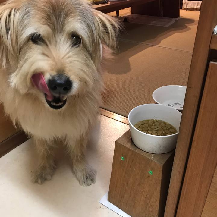 38a1d824 5881 44a6 8ad9 befa19d99cf7 1553090963134