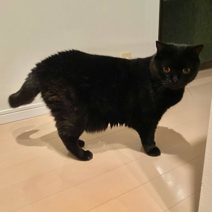 38a1ed3b 5621 4993 b392 23afbc8b2866 1721043799911