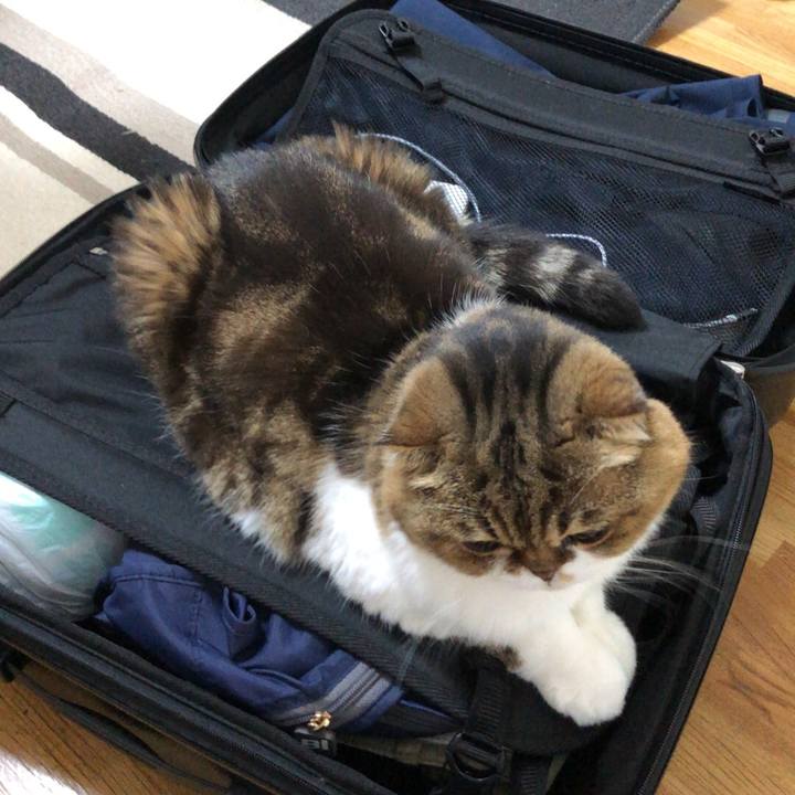 38a1f95b 46e5 46f1 9f9e ac1cc2d4ea66 1542297128605