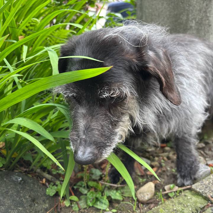 38a21c9d 8599 43a0 8e94 e9d9b26710b3 1747525529031