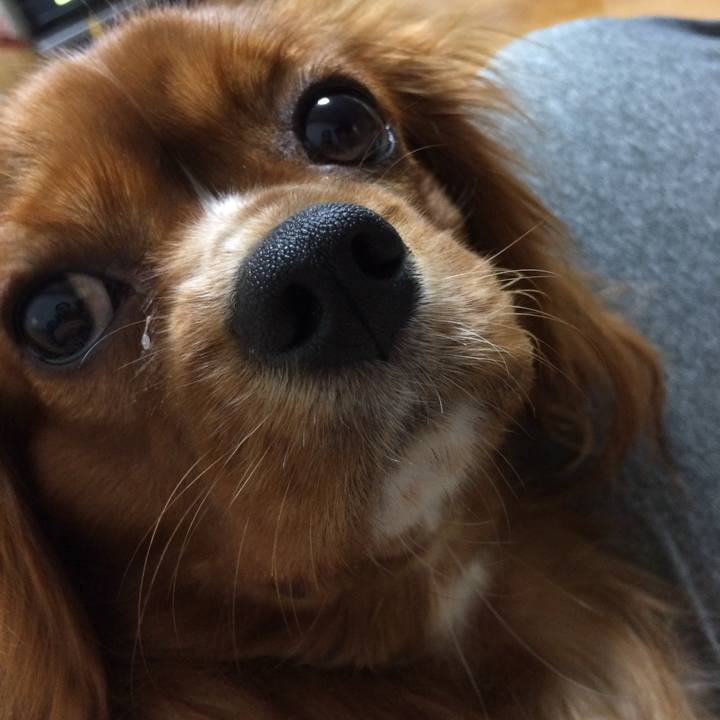 38a22e2e d466 49d5 859c 14f7d9c7534c 1511994056758