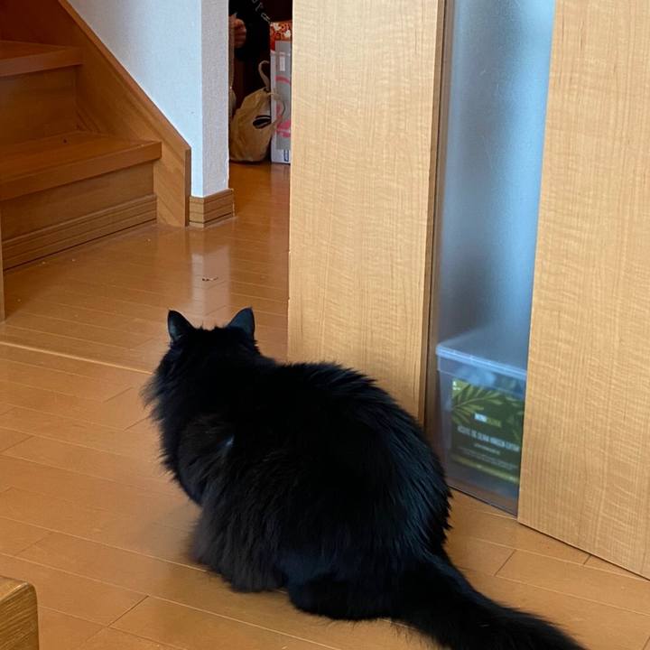 38a230ab bc81 4af5 8ee1 71d887a45d71 1576901162544