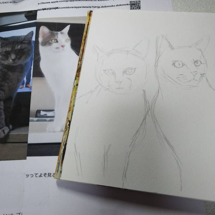 38a23d85 a1db 46e2 9fe8 58791fe2f0e2 1543728117573