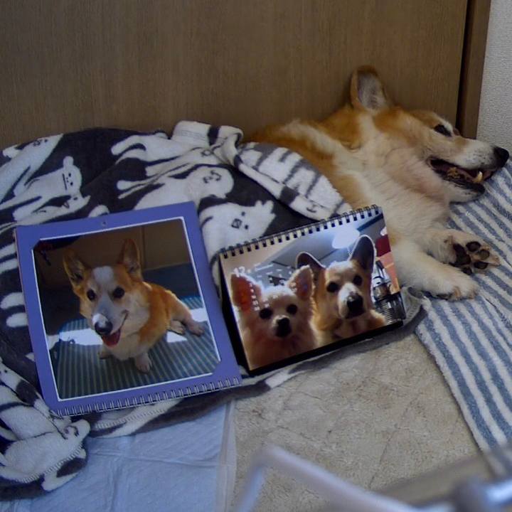 38a2734a 2280 4a86 899d 5f76b9f0d18e 1575418063215