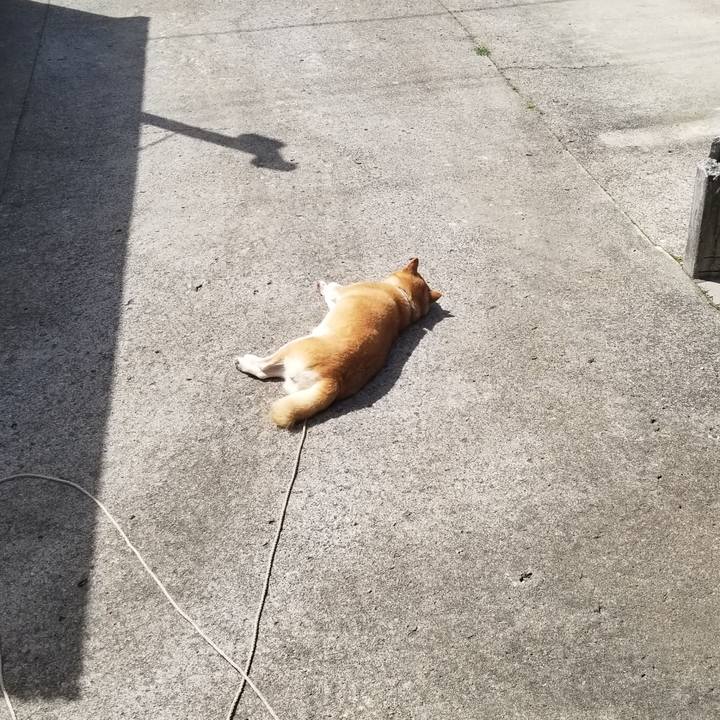 38a2c097 7a29 4a4e 9779 68e9fc4d819e 1629435394522