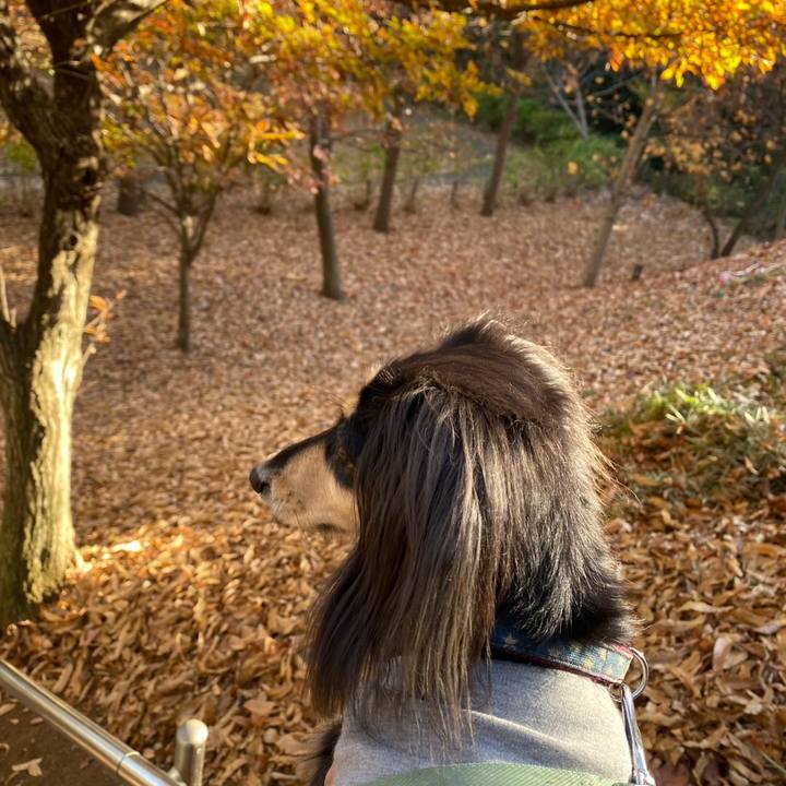 38a2c260 778d 4889 9809 555d08abe424 1764464431887