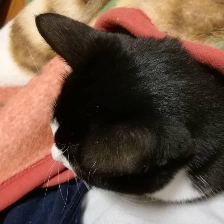 38a2cbfb 6477 4ebf a835 3d155bc2f098 1573913838222