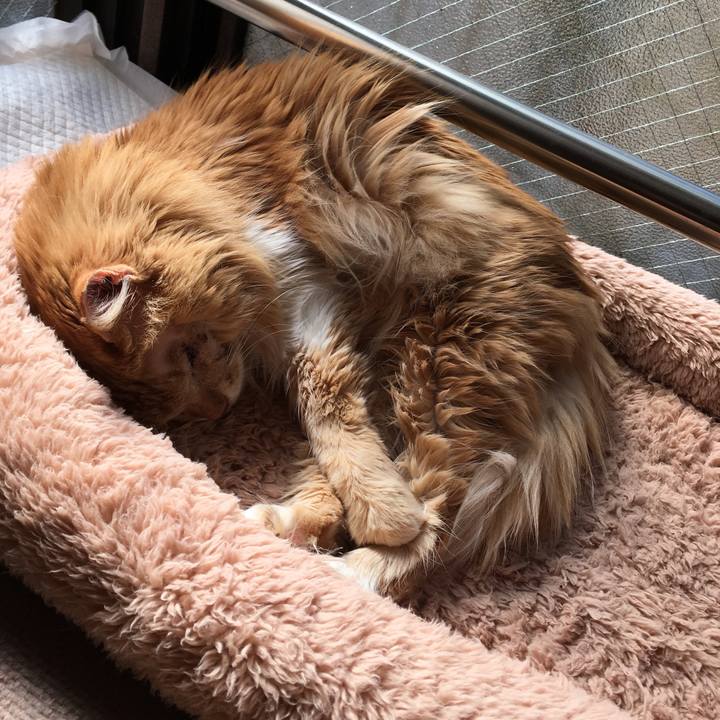 38a30474 d1fa 483a 8f14 93839203bcd6 1520423378526