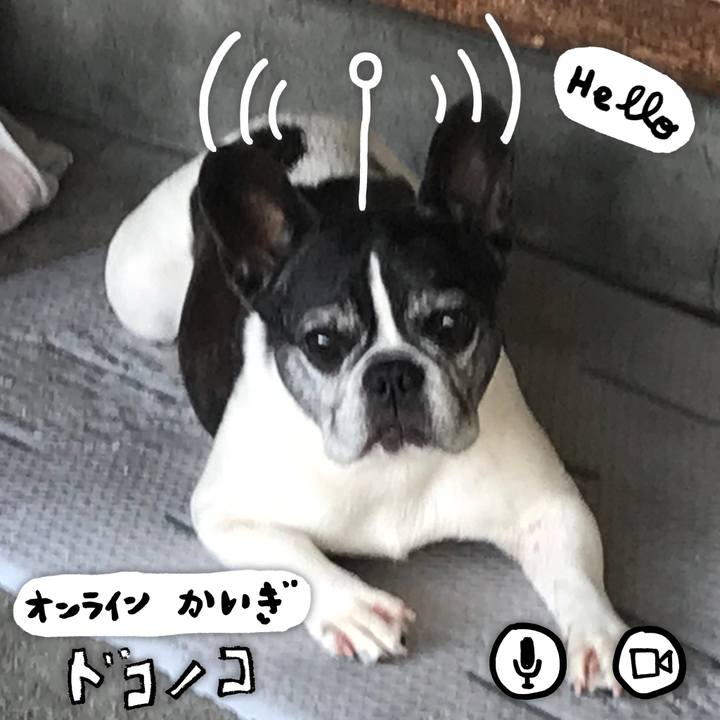 38a31d8f aaed 4d5a 84e5 322e3882d8f0 1590752308824