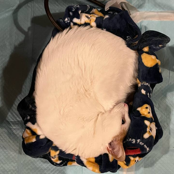 38a320bc e15b 4652 a5a5 afd091889f24 1771112399742