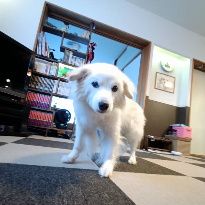 38a33ab9 39d5 49cd a2ef 339d89785e2a 1753779653967