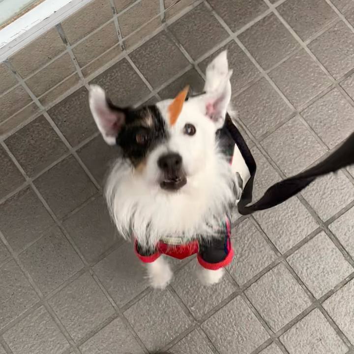 38a33cbd 3509 4855 ad06 fb1efbe8e79e 1707204799370