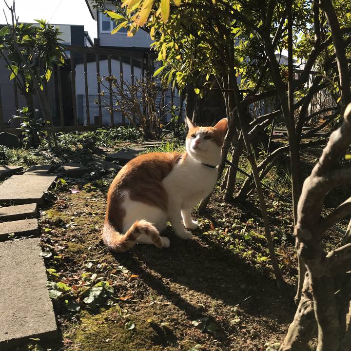 38a3c5e3 f1d2 4026 9e31 8cd5e4a808e6 1511313551425