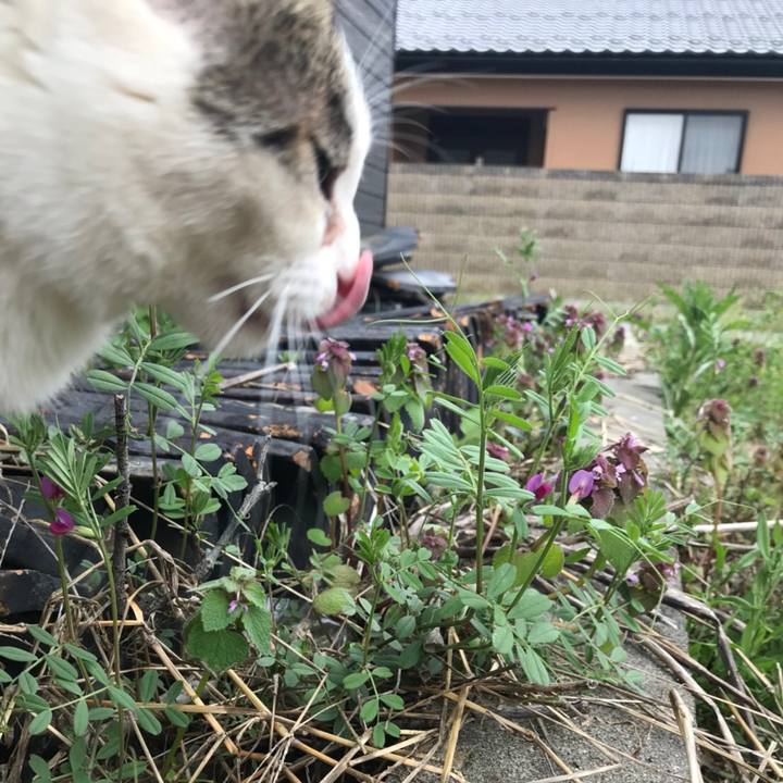 38a3e06e 2b9e 4377 8986 688a071de626 1525439018889