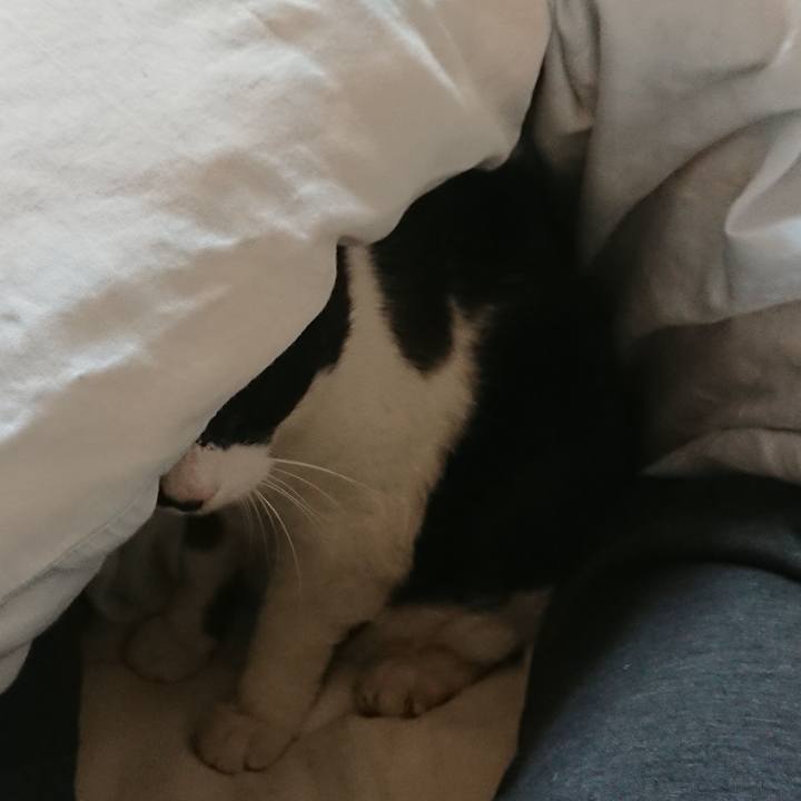 38a3e33a 219b 4d51 bd6e 5634f0f154fb 1675725890998