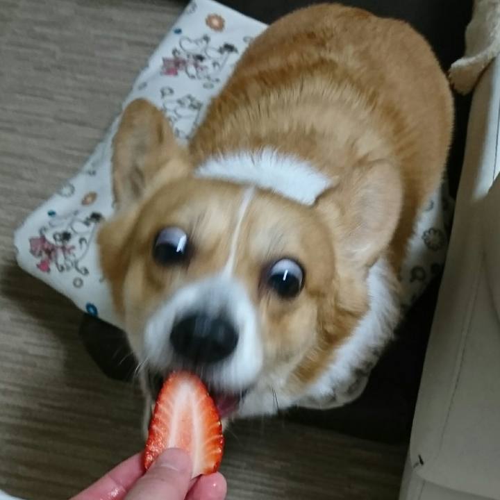 38a3f266 45ea 4e5e 8a4b c22058f352e3 1551335106564