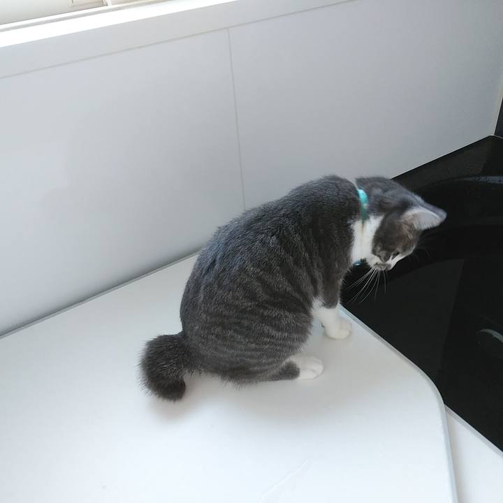 38a41126 2fd1 438f 8be1 f4e3e418361e 1574308623142