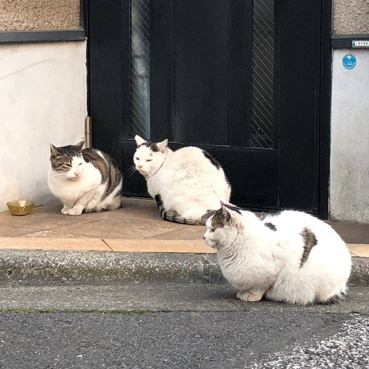 38a41b26 72c0 48b2 901e 20f42ef345d4 1550220939033