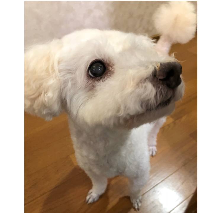 38a44088 5070 4d56 9878 686a4d4410d7 1537017748989