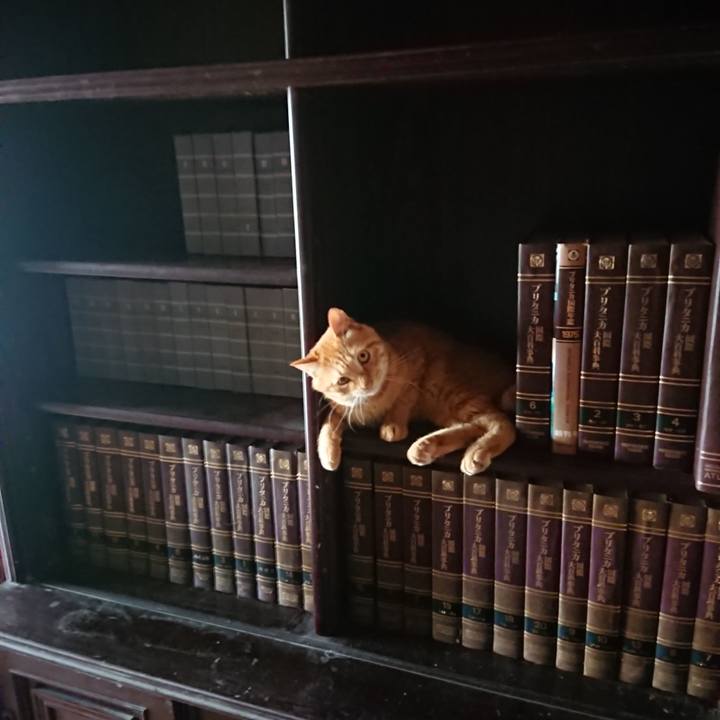 38a445ee 42f5 4db5 b31f d93e002470c3 1660379103121