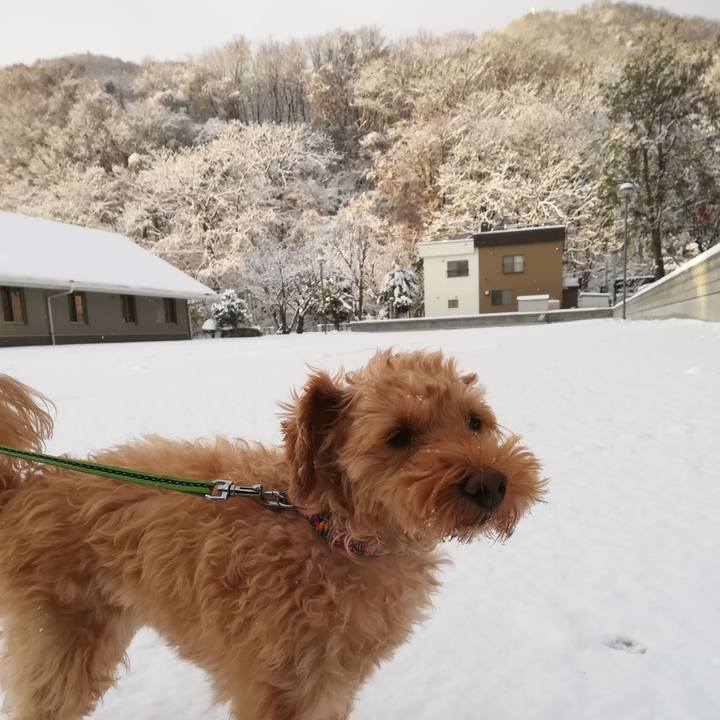 38a47203 8c78 41d0 8c41 c113ed75ee15 1573860717249