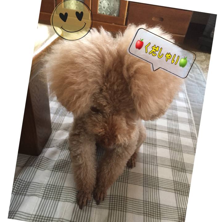 38a479e1 af06 49ba b65b c4b2ee523edc 1528840510504