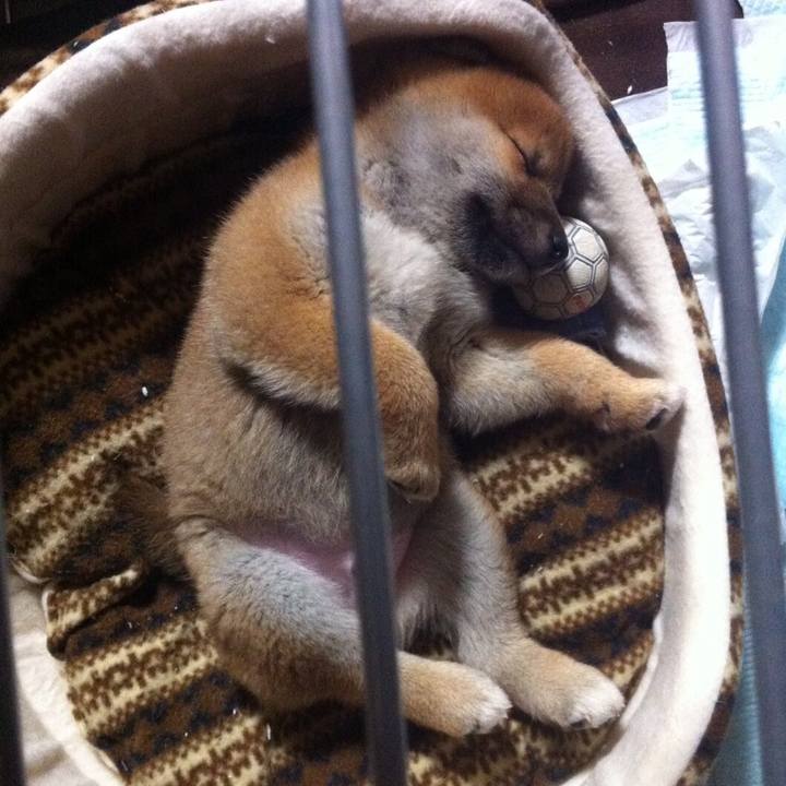 38a49403 2214 4e1d be41 ad0768e8db8d 1538746438181