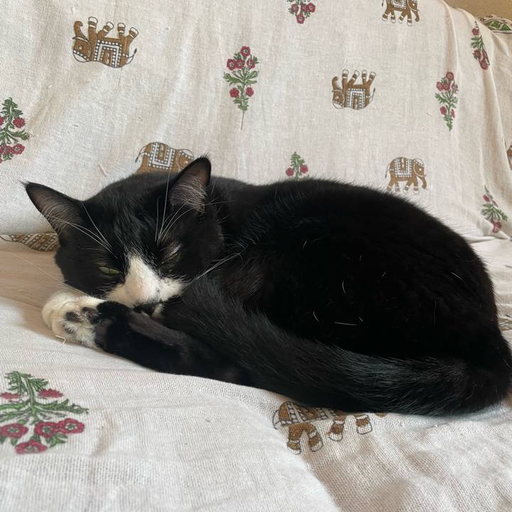 38a4bf92 6144 44cb a4d0 185307339731 1698360784435