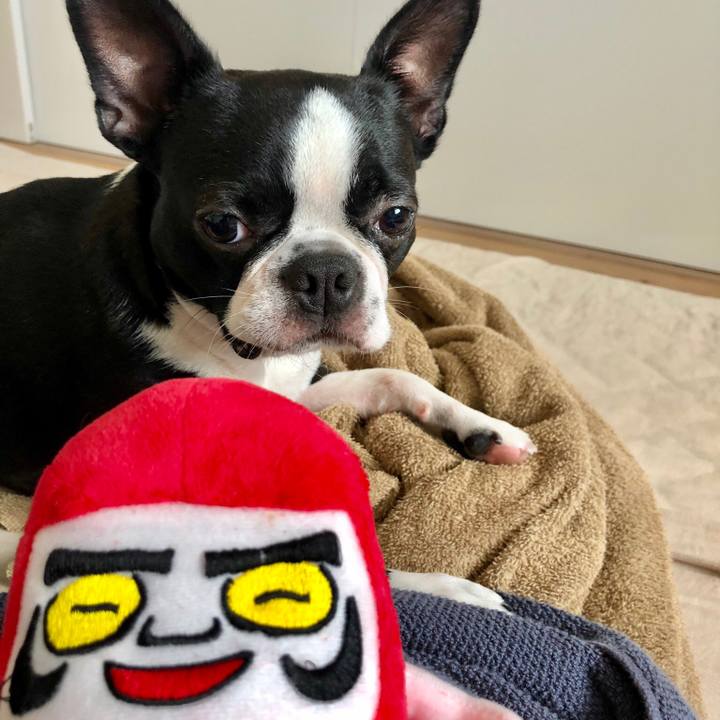 38a4c914 849b 4bb7 9a31 94ca77aaace1 1536380666265