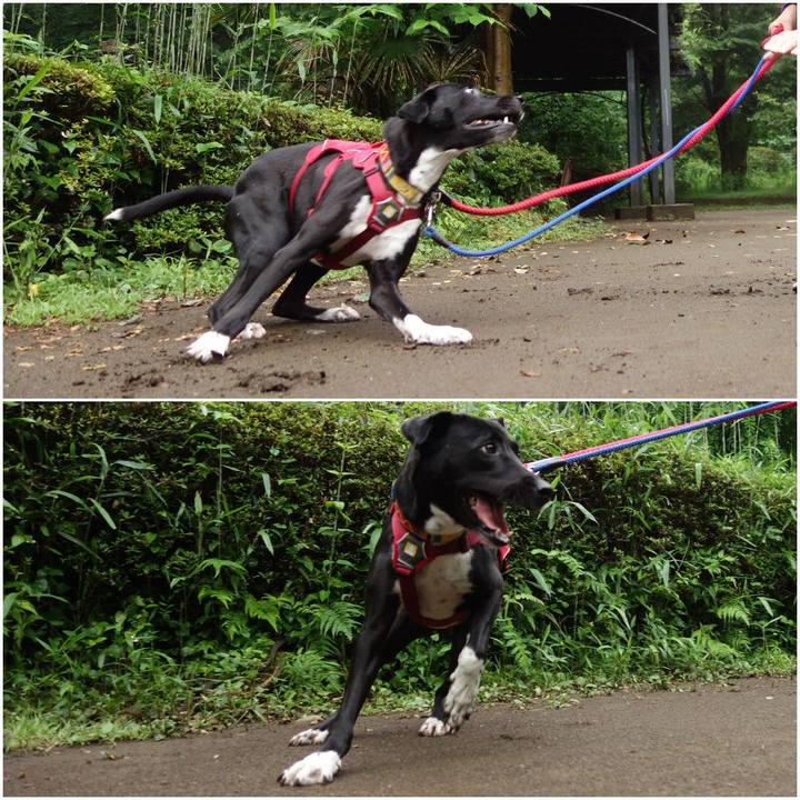 38a514f0 d7b7 486f aa36 10d369ad0e55 1592178916894