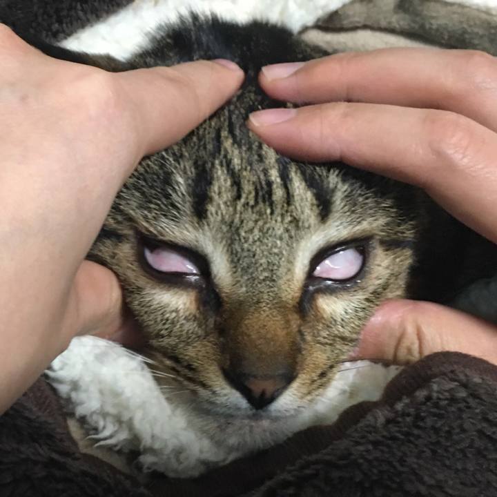 38a5a229 23c4 47b7 9038 5ff80a43ccfd 1519392317079