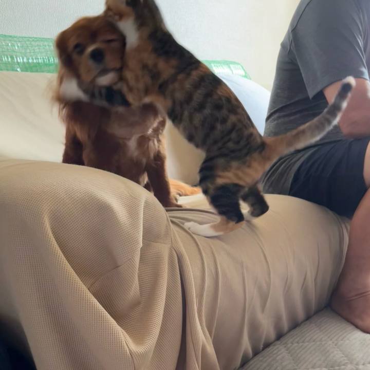 38a5b45c a77e 4182 bc74 6451974ec1d5 1657342087382