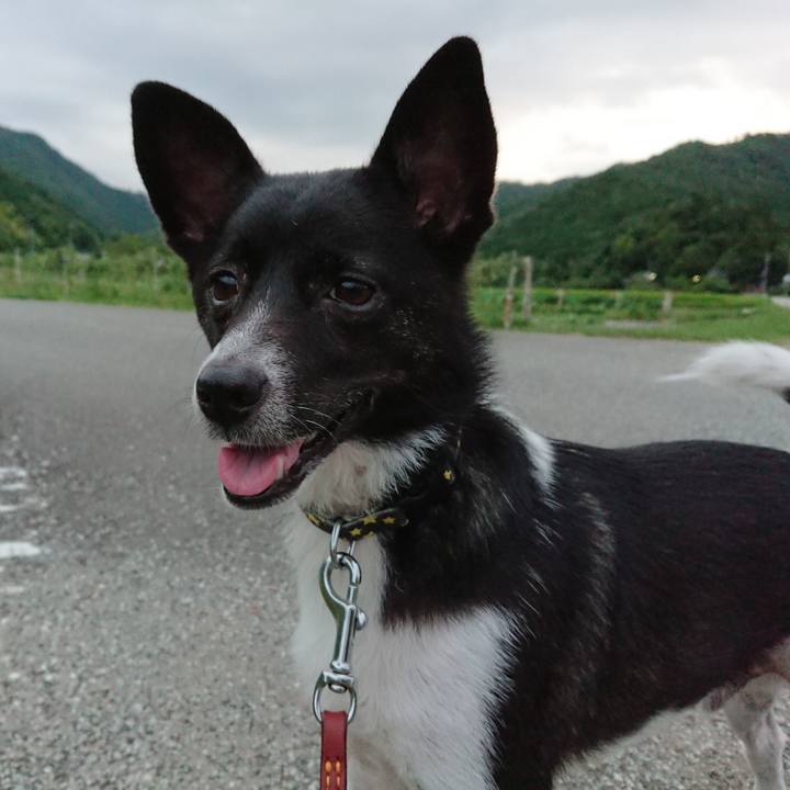 38a5bd1e 3c03 4b7e 95b1 55cd449d8fbc 1533982131382