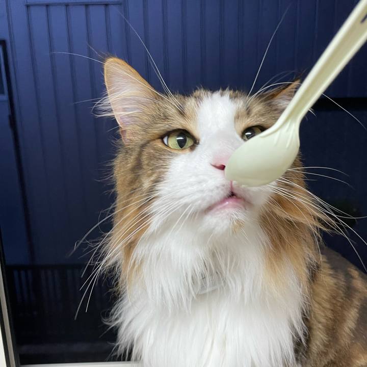 38a62765 731e 4c4e 9e62 44afd0db1b11 1692215168606