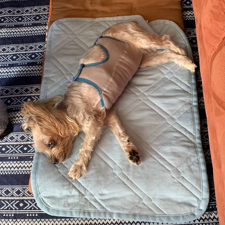 38a631e4 ae7f 421f ad12 f58e4c9eeb49 1694424210557