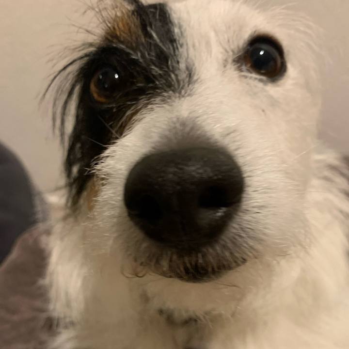 38a6516a 69ac 4664 9c70 024f56d906f8 1588597873551