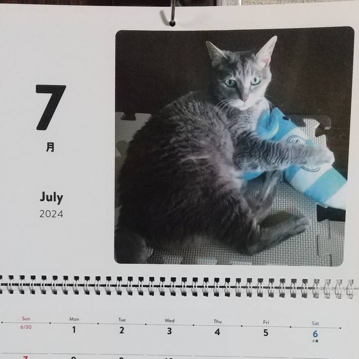 38a68c6c aeec 426d bf69 d2f1c7cabd76 1719783543470