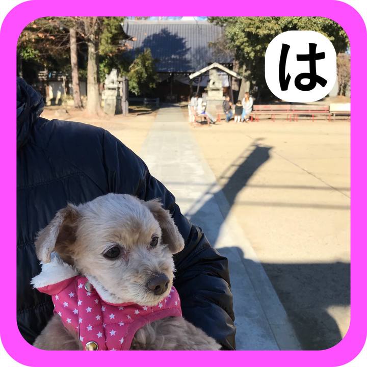 38a6ab13 406e 44d8 8f34 d0a6ce19ee8a 1514794038862