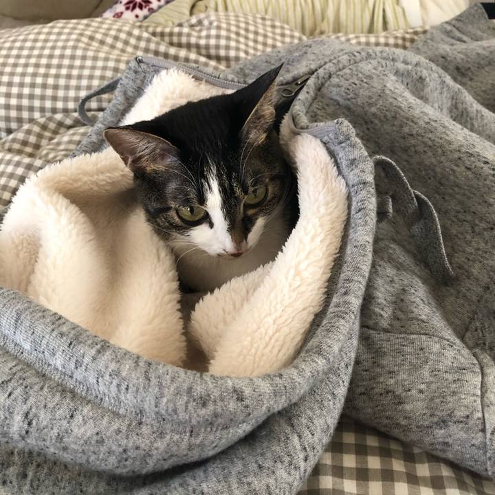 38a6b86e fb96 4a0e 81f1 87aa2cd5fe08 1552160783497