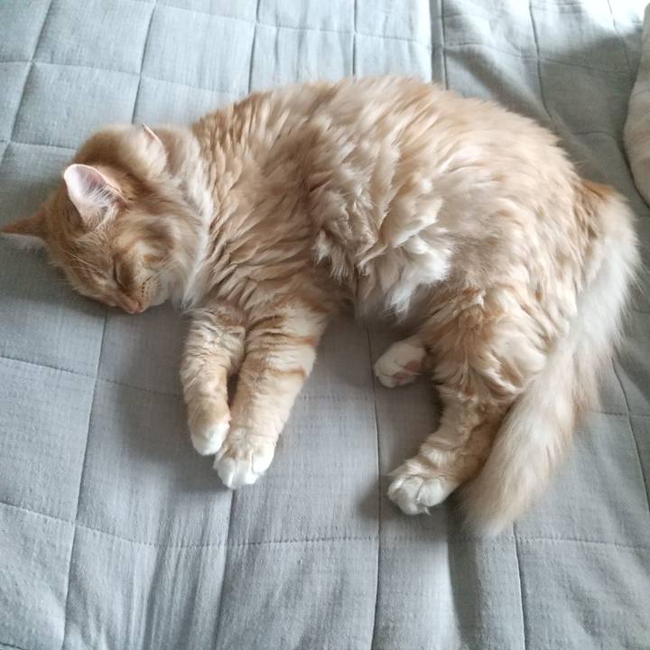 38a6cc88 1220 43da 9b93 1c39404ec25b 1628901757430