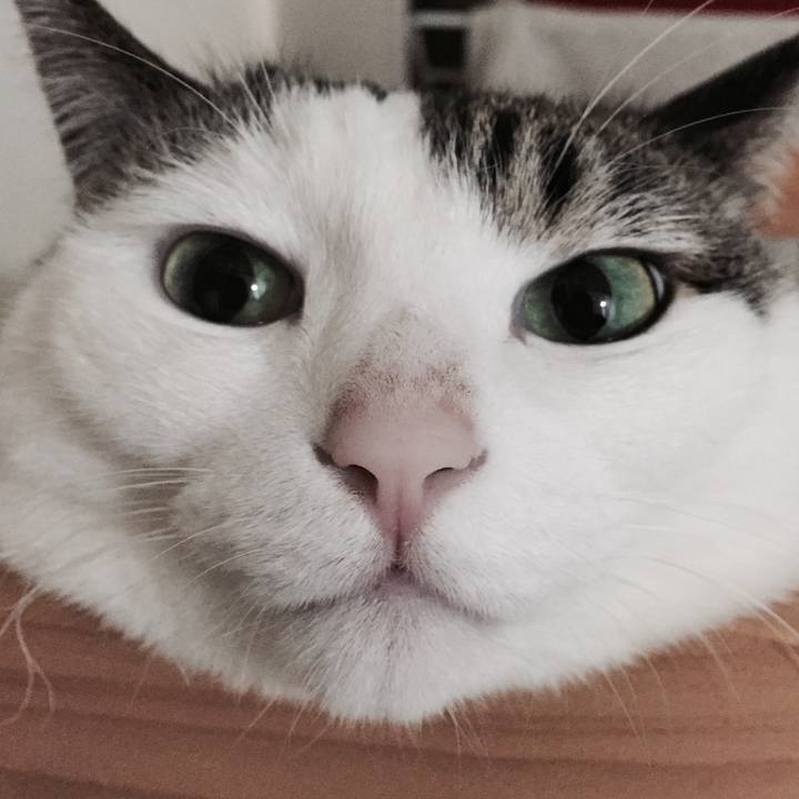 38a6d641 c652 42ea 8c26 b5760c5da8bf 1526308666559