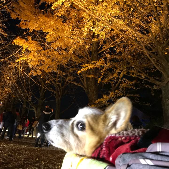 38a6df77 ebb2 494e a7ec a414e06b5b35 1763292506316