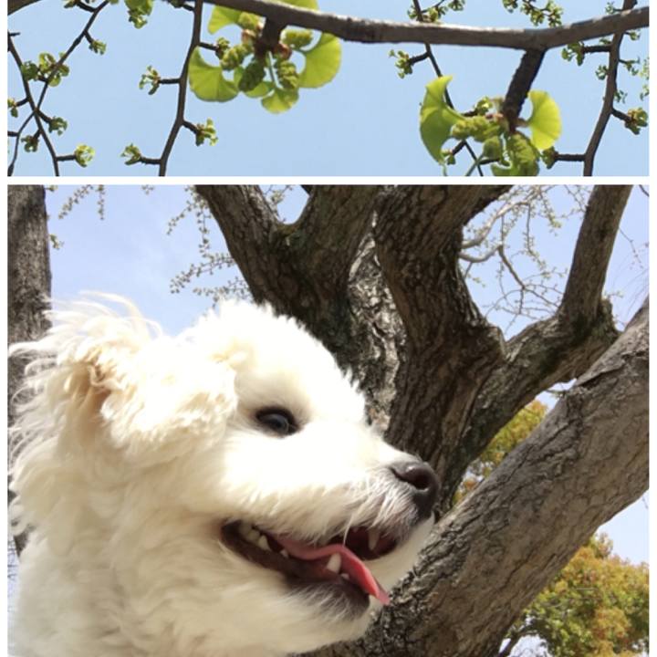 38a7019b 0994 406c 8812 6b3d21865505 1522637553802