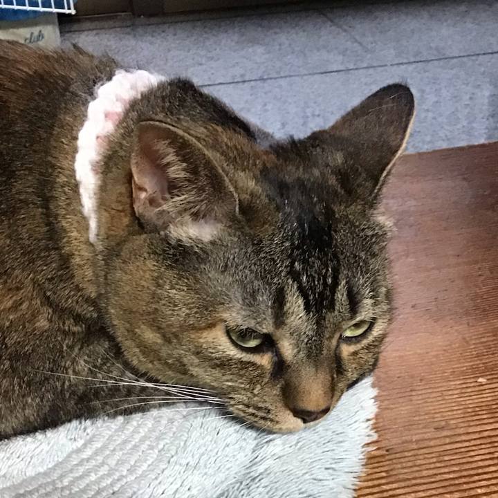 38a70756 ed67 44d0 8951 e1707e67b44c 1751540993389