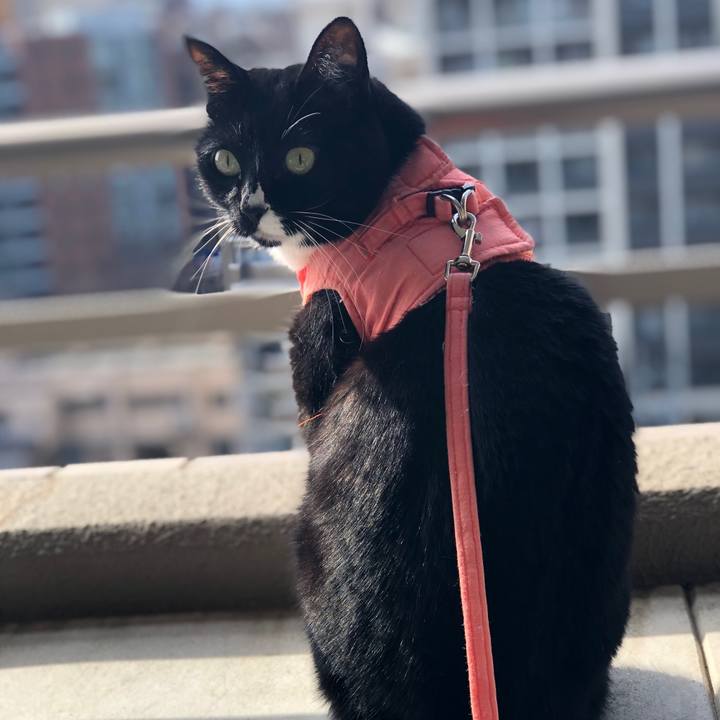 38a70b7d 8676 4976 9a96 2081d61b3eed 1580619409837