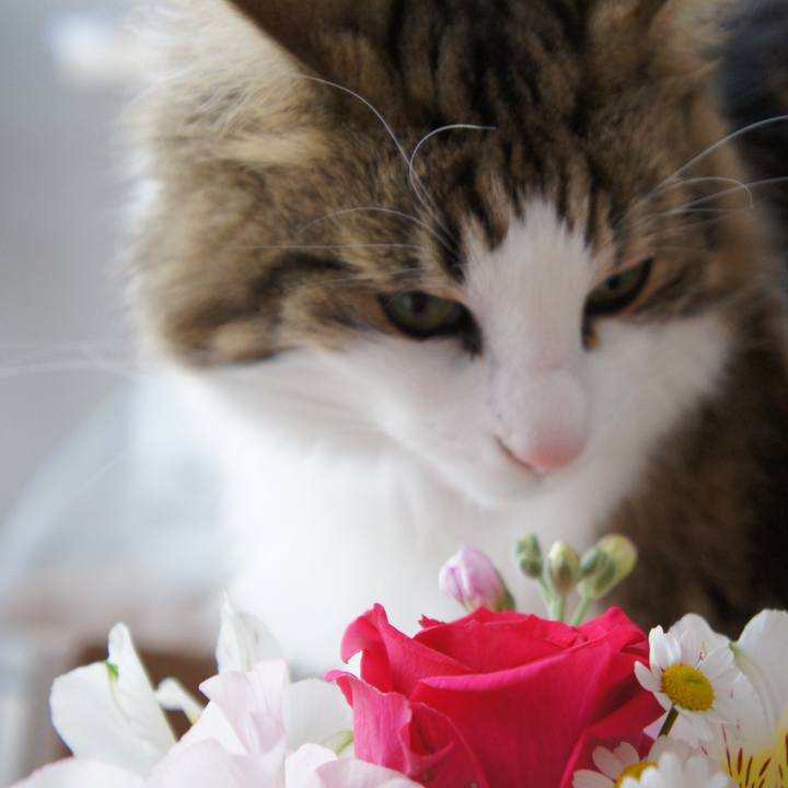 38a71863 51e1 4f40 8b7c bcda5e53d5ab 1516005163421